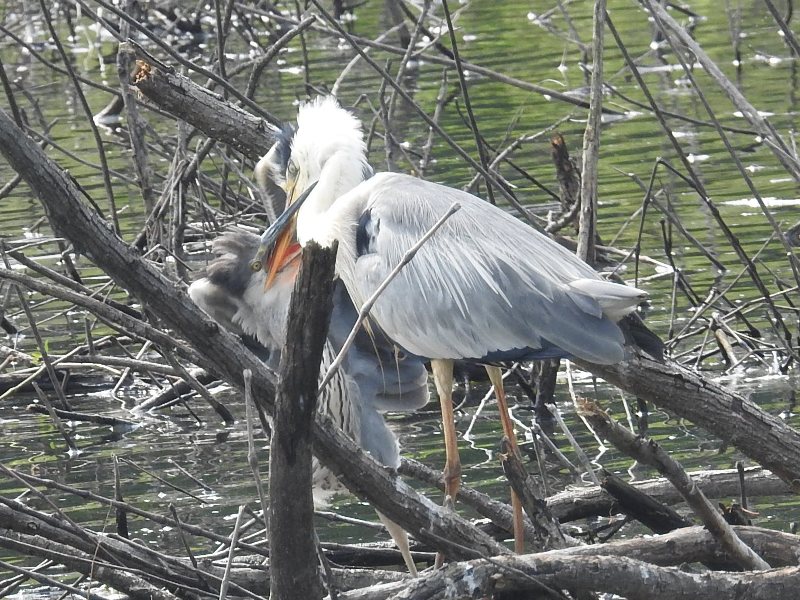 �������������