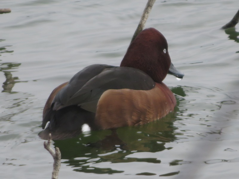 �᥸������