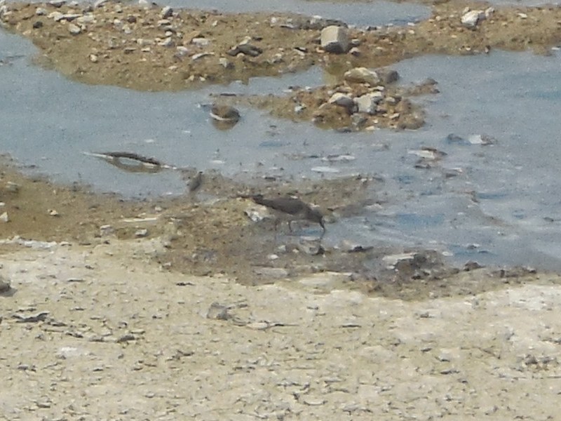 �������ȥ��ͥ�