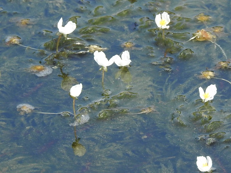 �������ʥ���