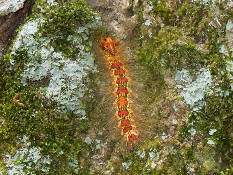 ������ޥޥ��ޥ�������