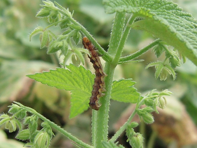 �������Х���������