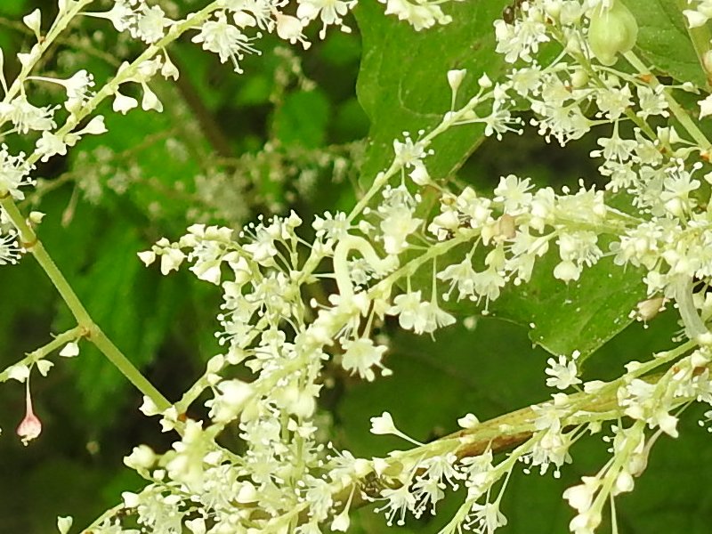 ����������